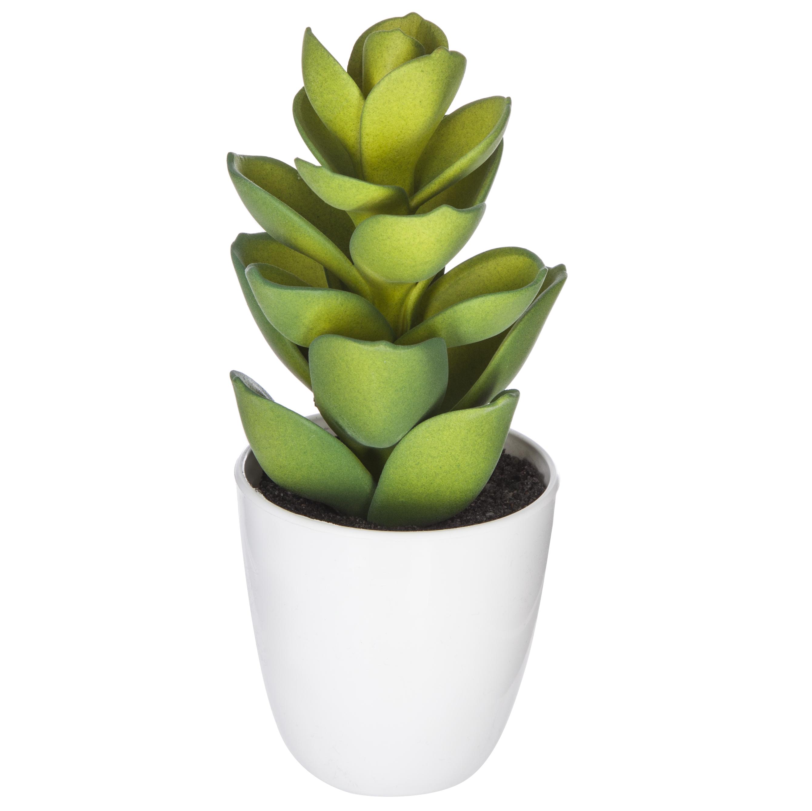 SUCCULENTE CACTUS H.18CM