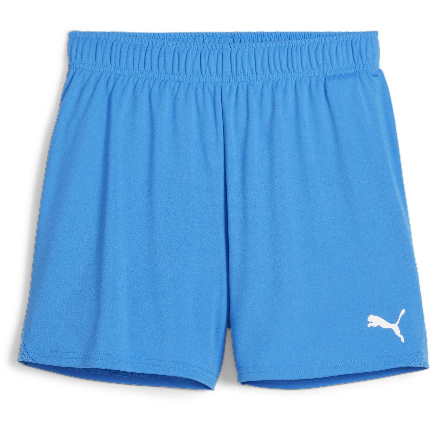 Puma TeamGoal Handball Shorts Women