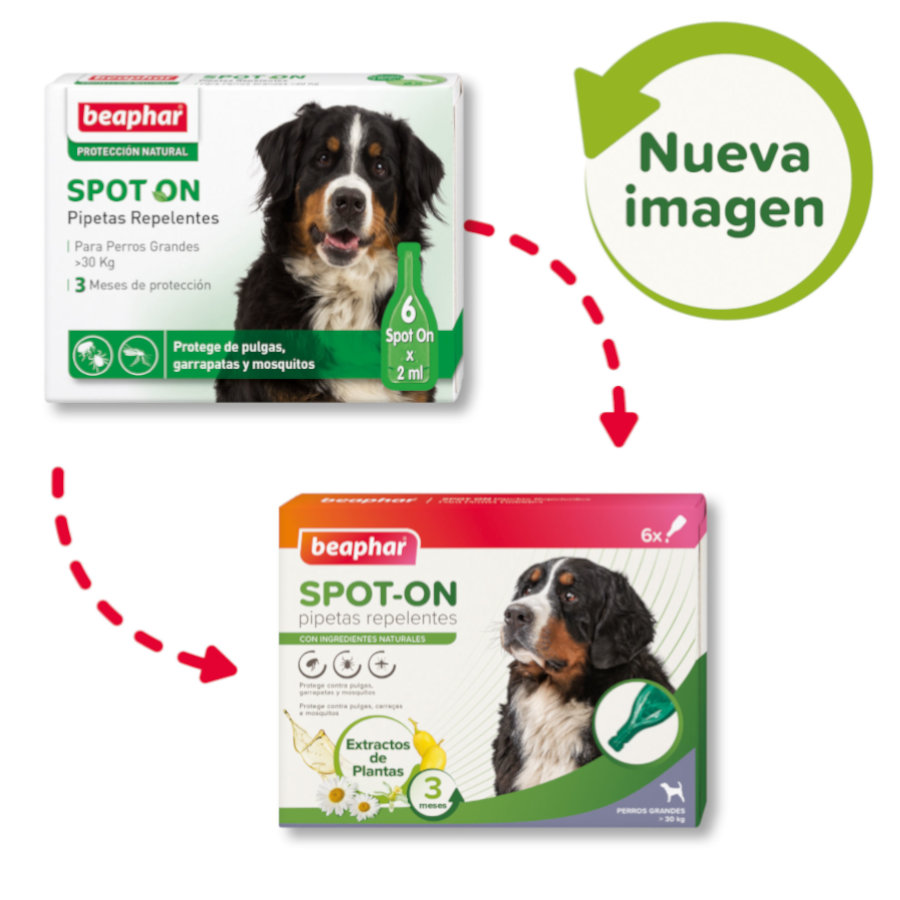 Pipetas repelentes Beaphar para cães de grande porte