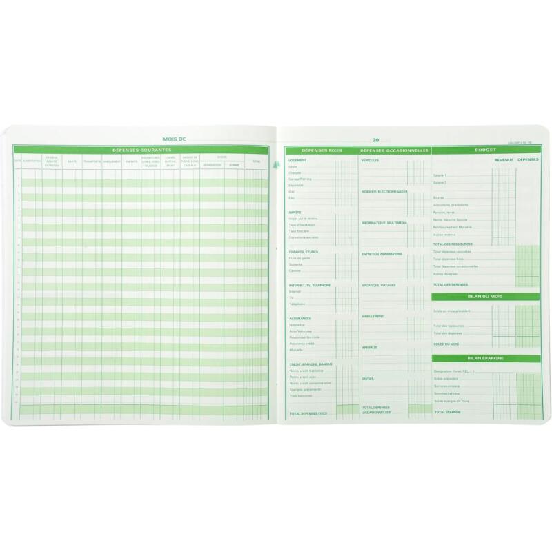 Piqûre de comptabilité et organisation familiale 27x25cm - Budget dépenses ménagères 56 pages