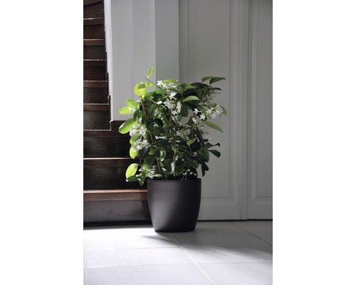 Lafiora plantenbak, kunststof, Ø 35 cm, H 32 cm, antraciet glans, inclusief grondbewateringssysteem en waterniveau-indicator