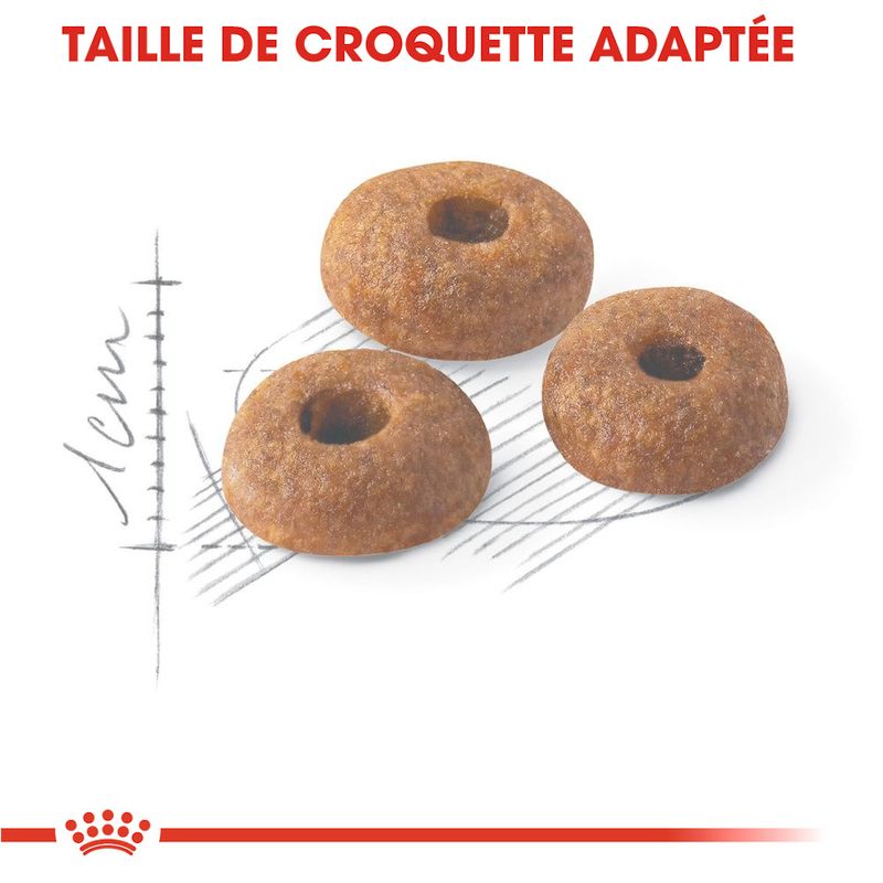 Royal Canin Regular Fit 32 à prix discount sur bitiba.fr