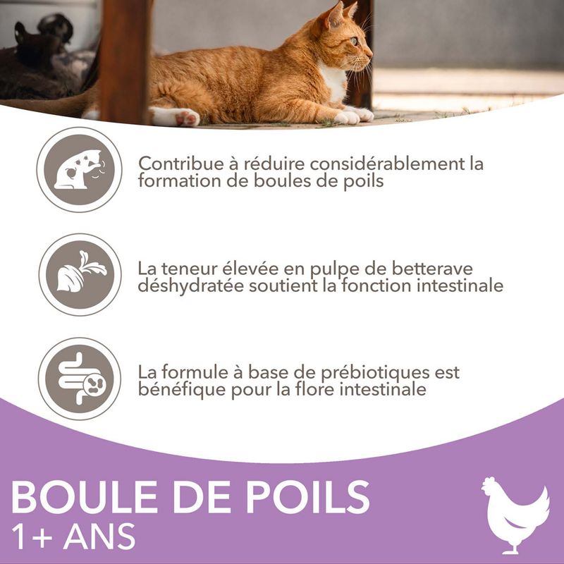 IAMS Advanced Nutrition Hairball Adult poulet à prix discount sur bitiba.fr