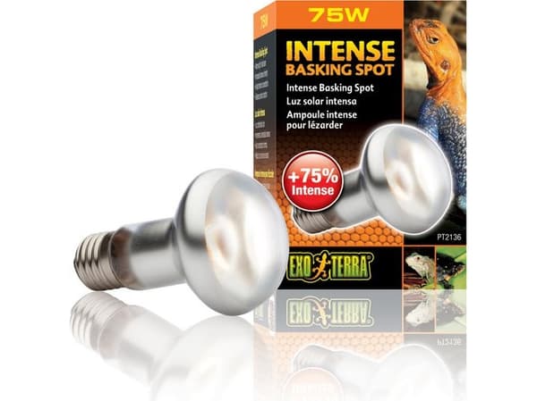 Hagen EXOTERRA INTENSE SPOT Pære 75W