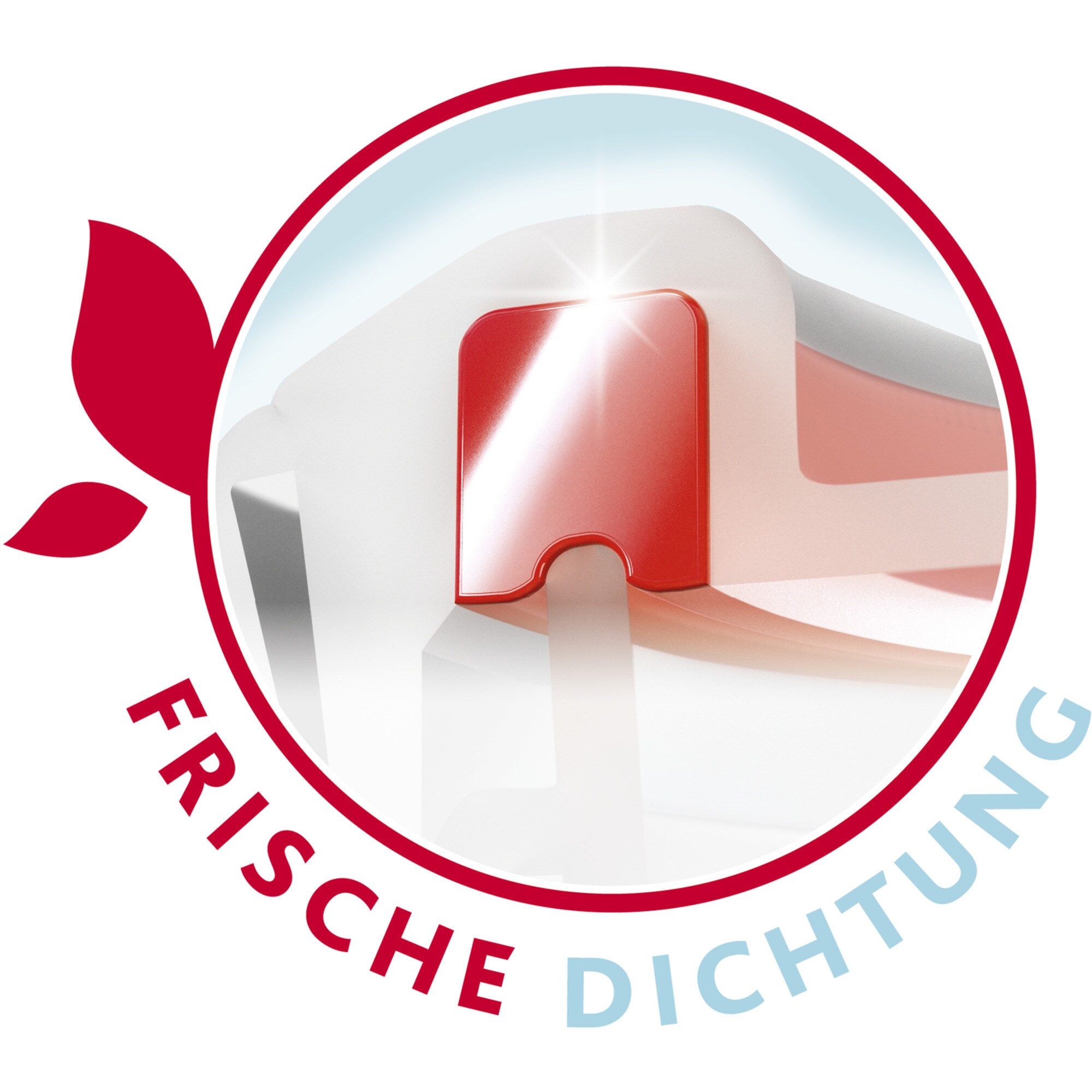 Emsa Dose CLIP & CLOSE Glas-Frischhaltedose 0,7 Liter
