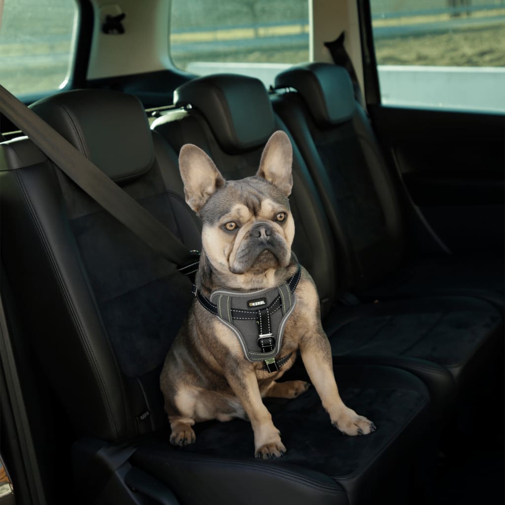 Arnês para carro para animais de estimação