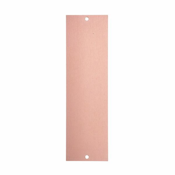 Fredenstein Blank Panel Gold