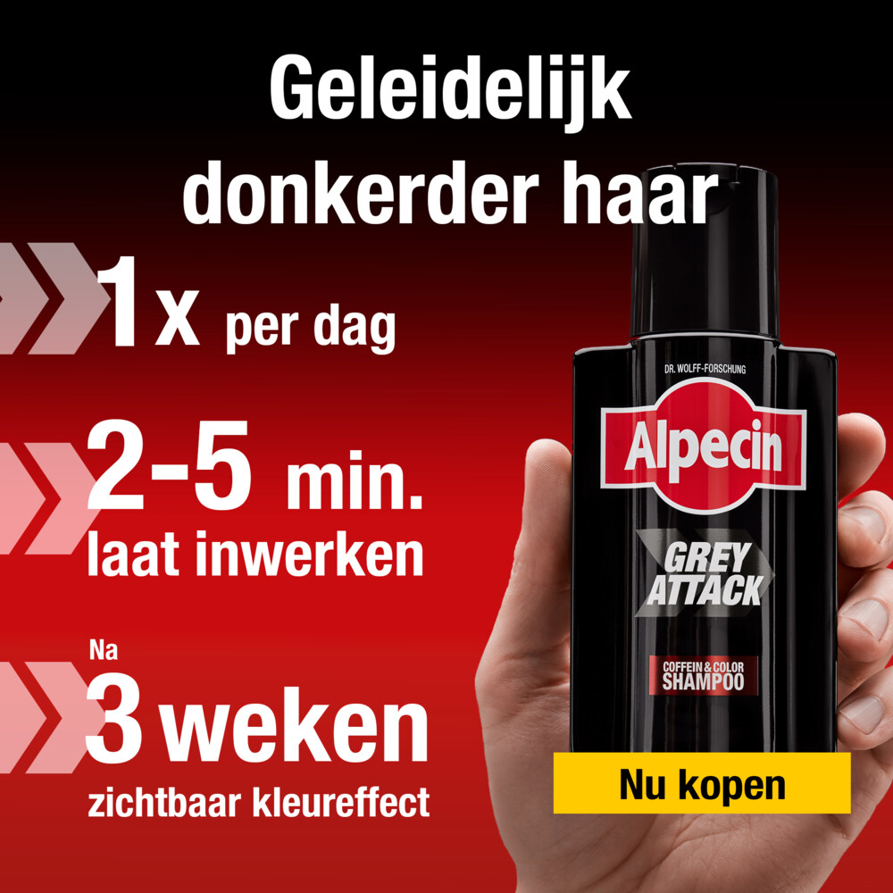 Alpecin Shampoo Grey Attack200 ml