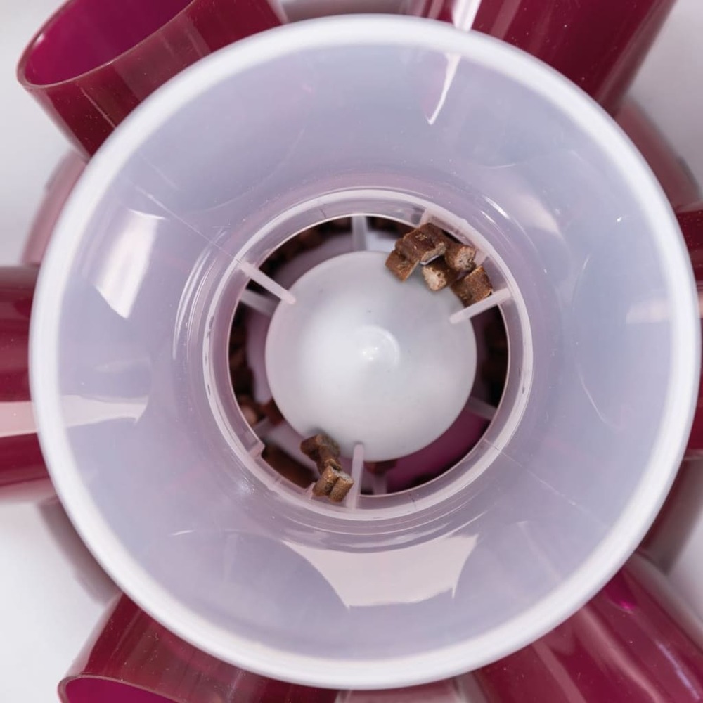 Jeu de stratégie d'activité et d'alimentation pour chats rouge