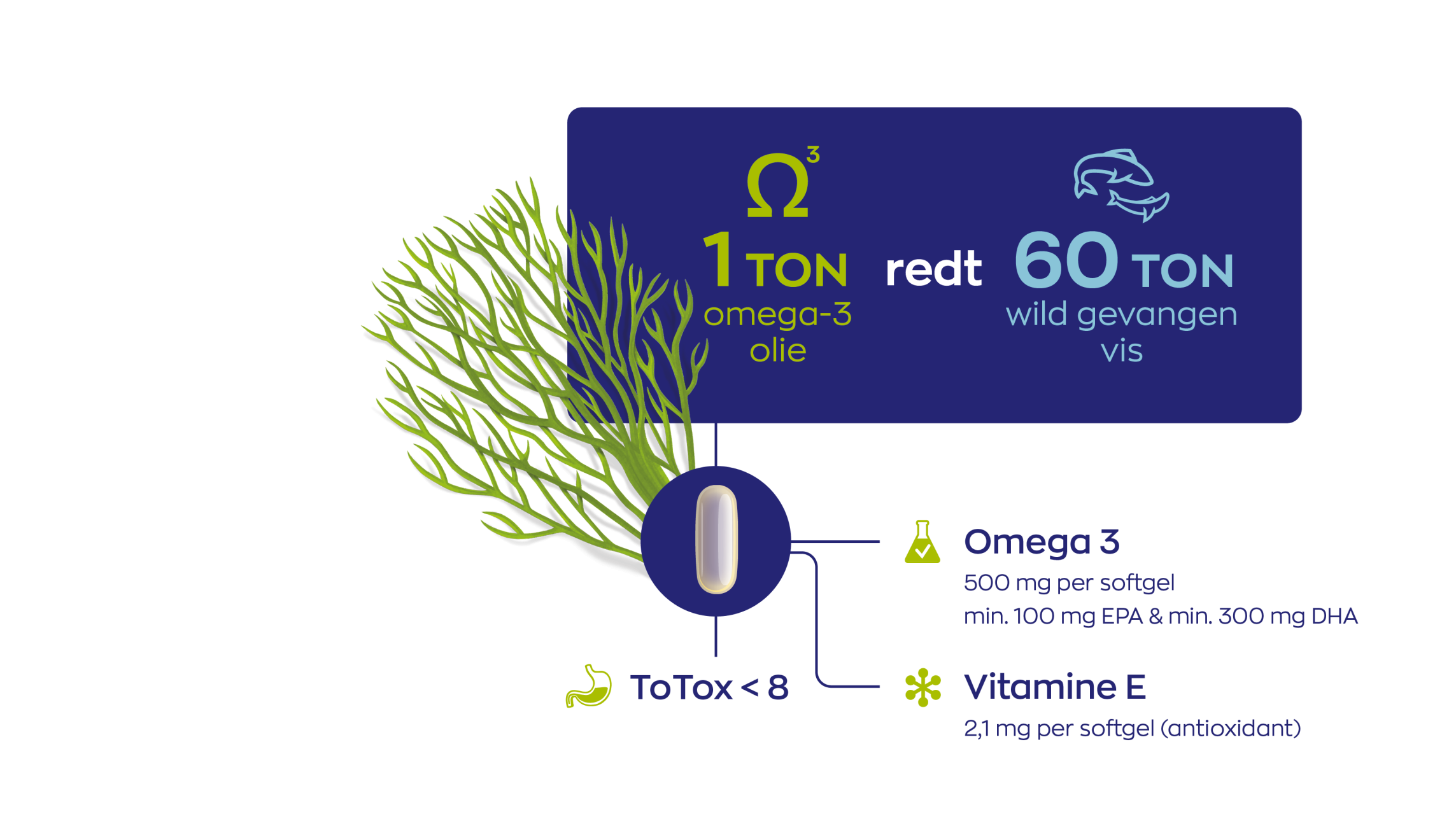 Vegan Omega-3 1000 TG