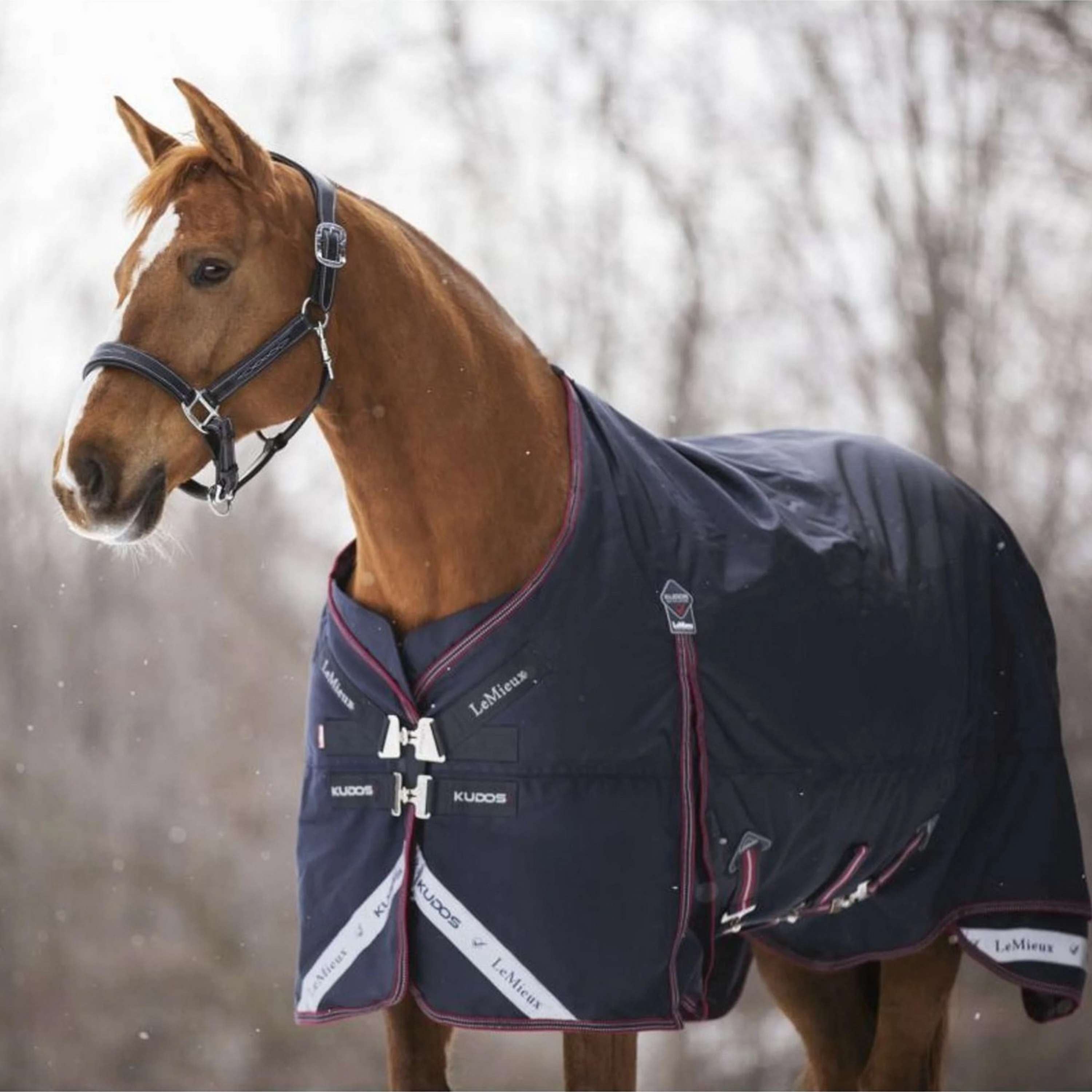 LeMieux Deken Kudos Turnout 100g Navy
