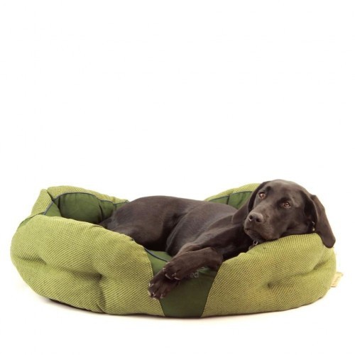 Cama de descanso verde para cães