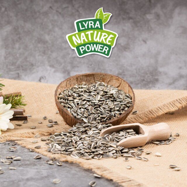 Lyra Pet® Sonnenblumenkerne gestreift