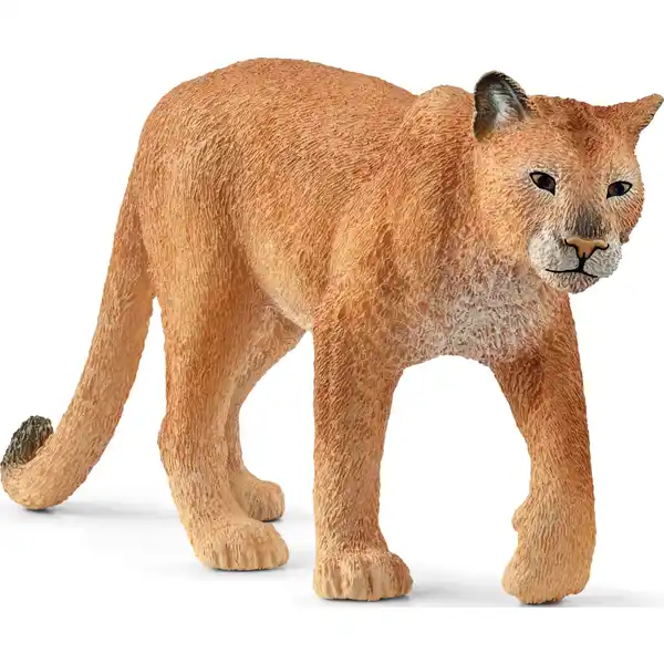 14853 Puma