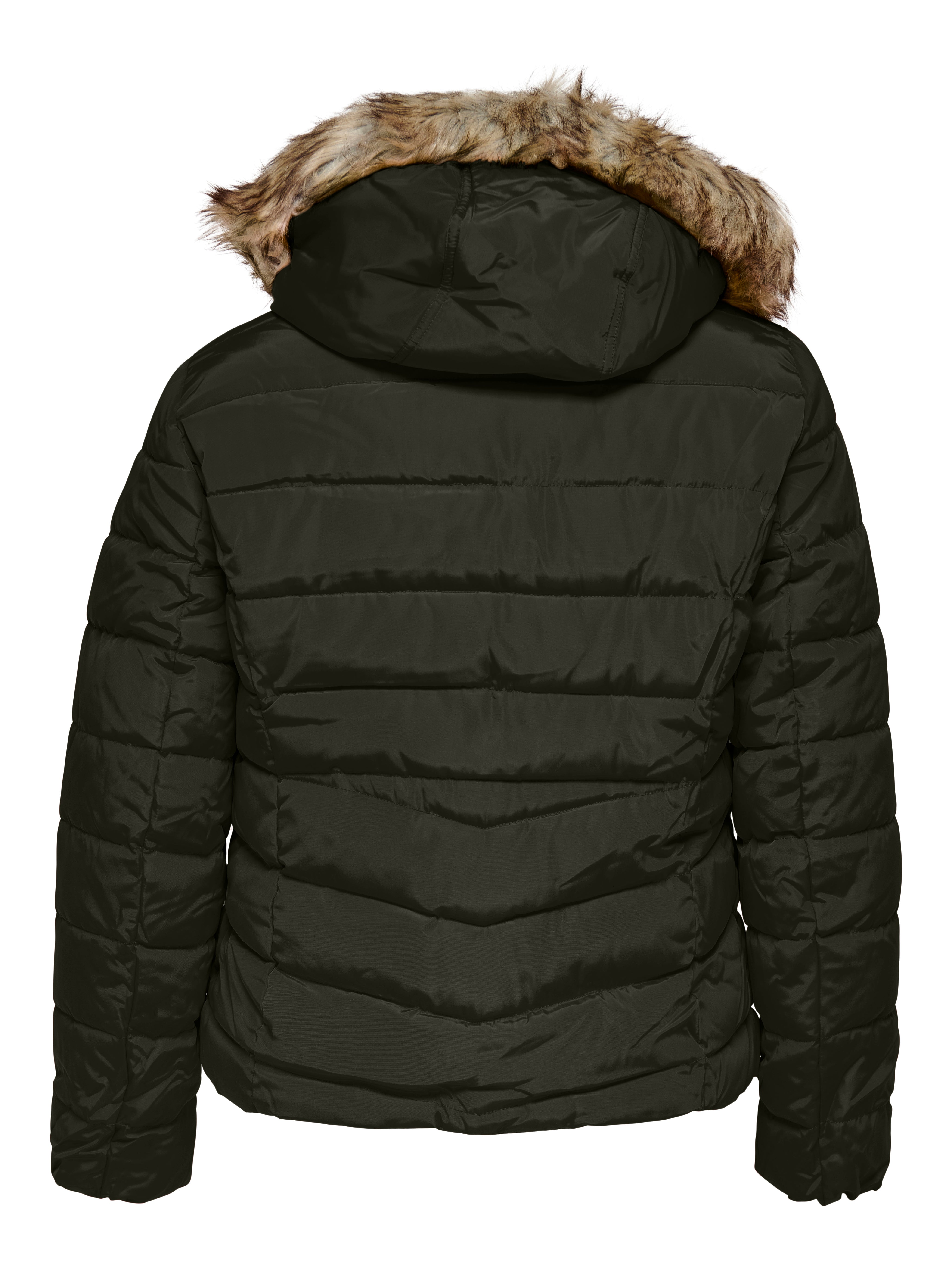CARNEWELLAN Jacke Rosin