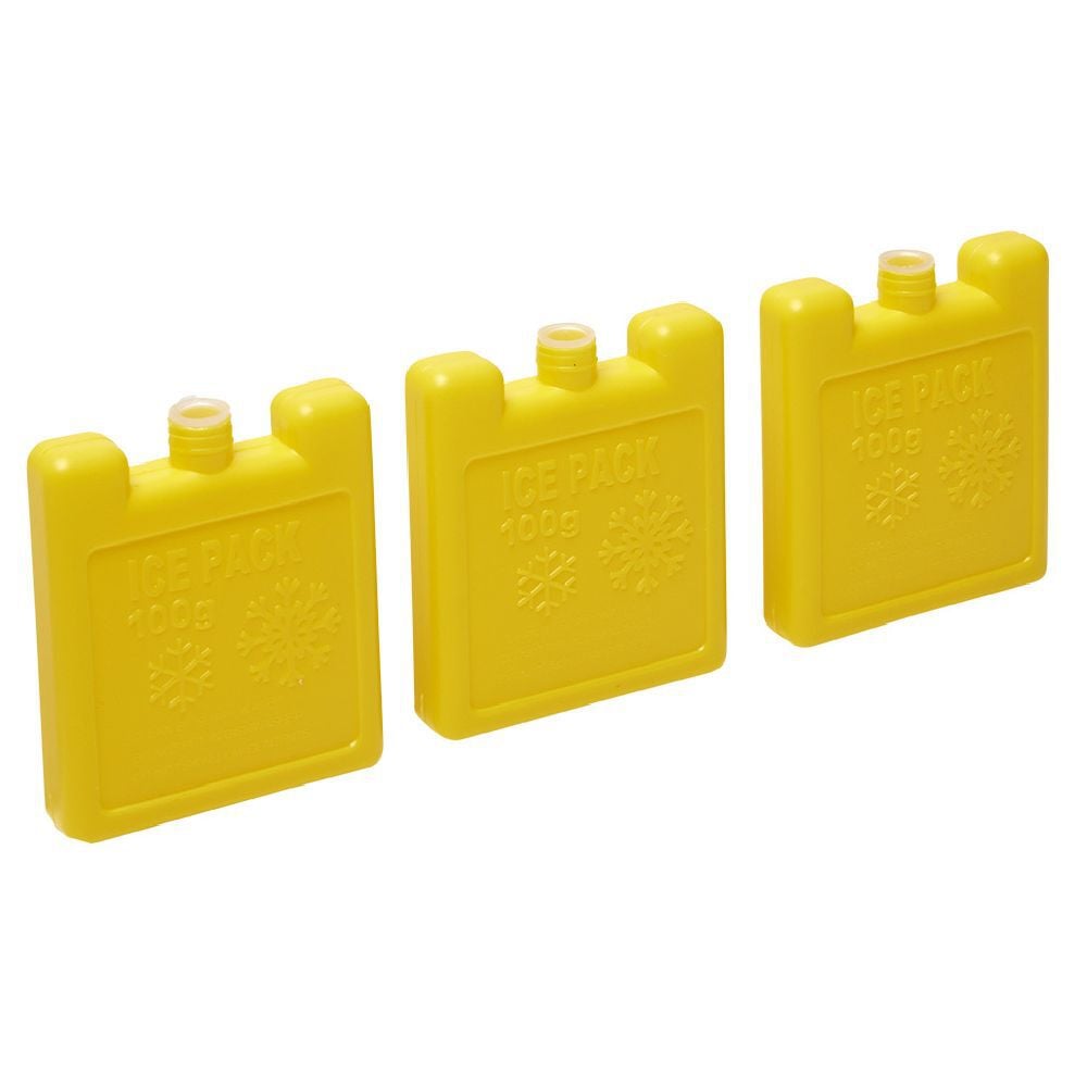Bloc de glace 100 ml x3