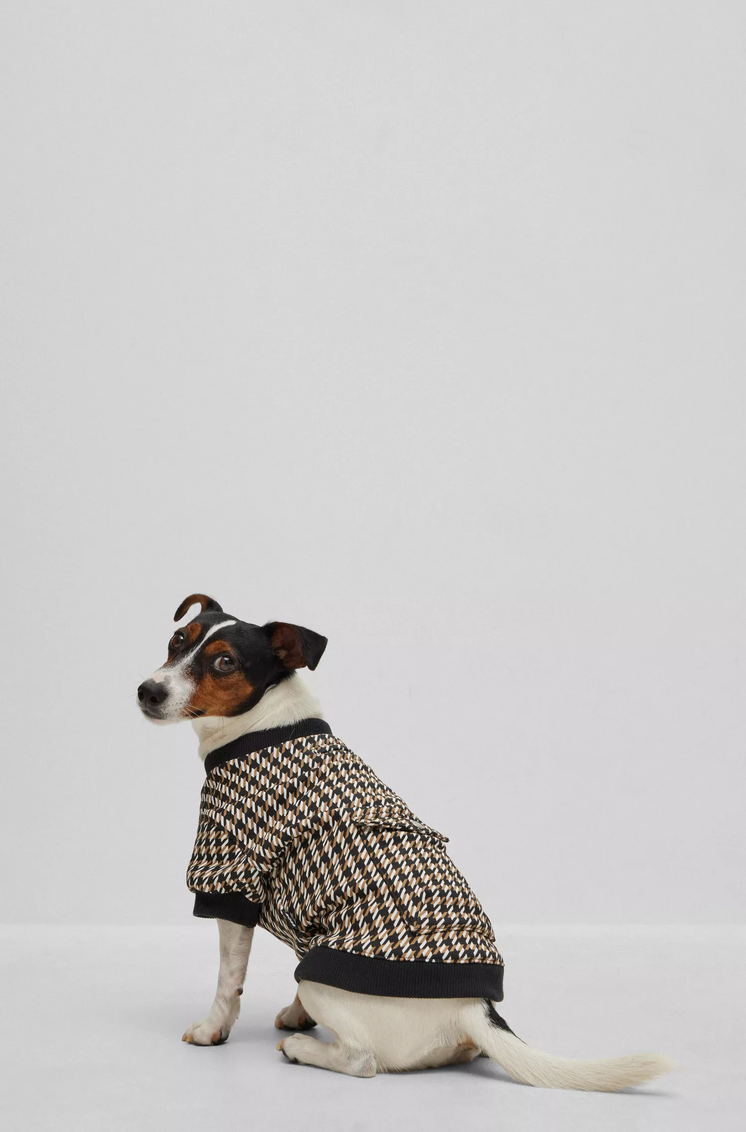 Camiseta BOSS Black-Dog em mistura de algodão com logotipo.