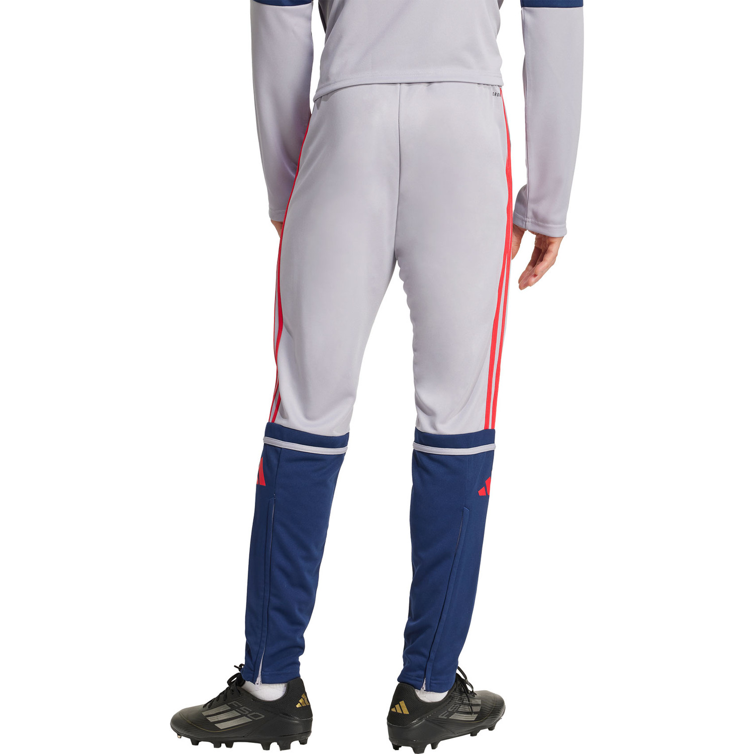 adidas Squadra 25 Training Pant