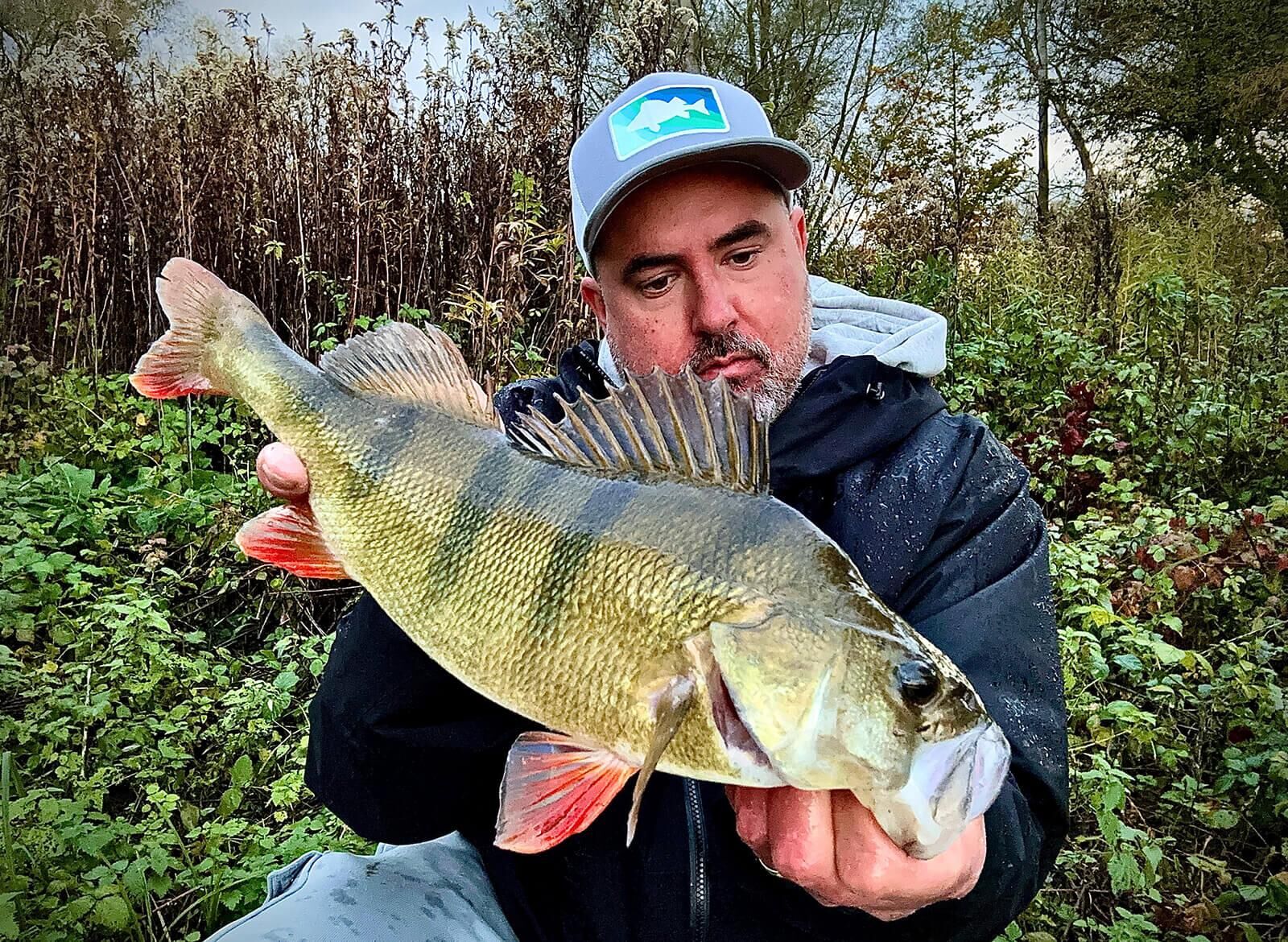 3.8