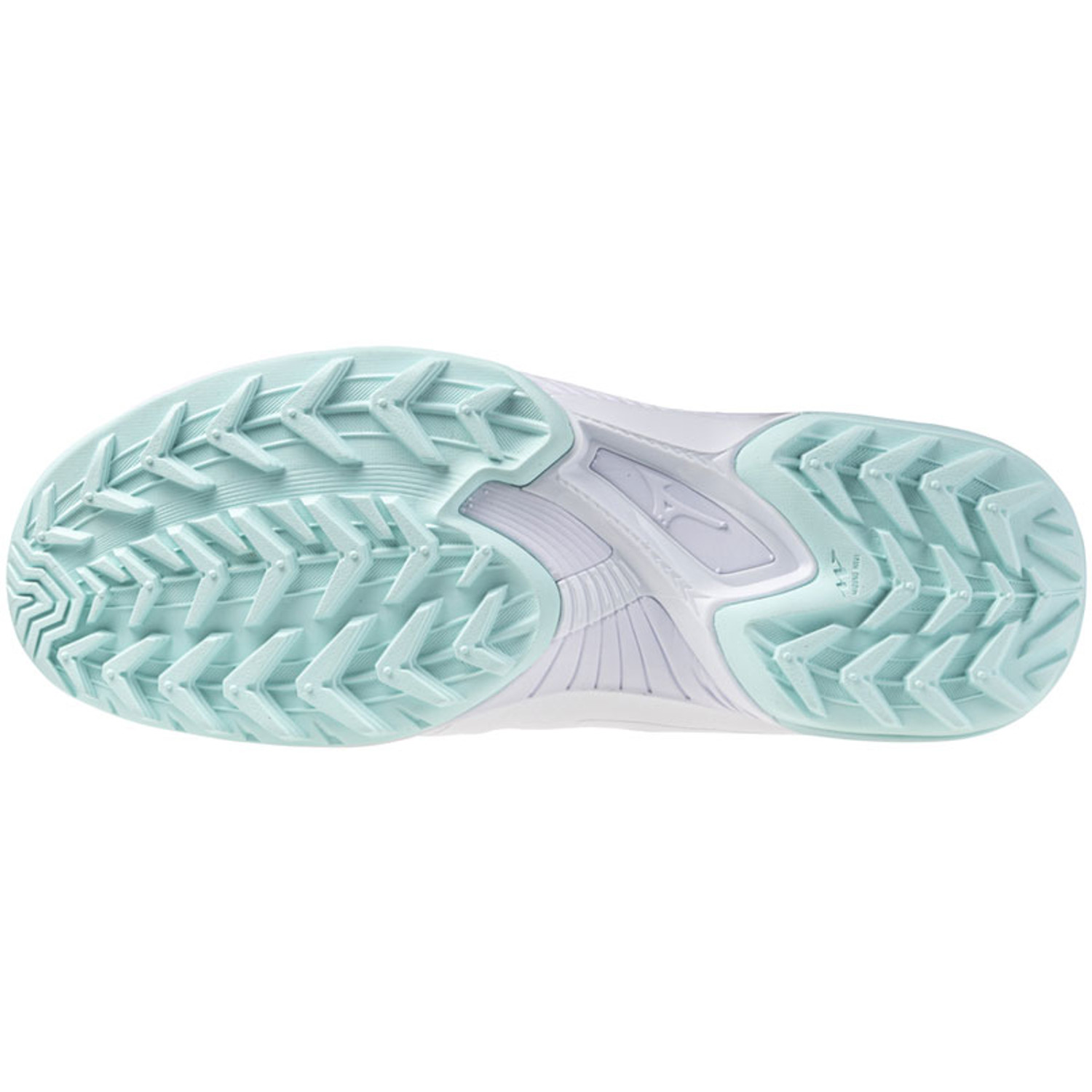 Mizuno Wave Panthera