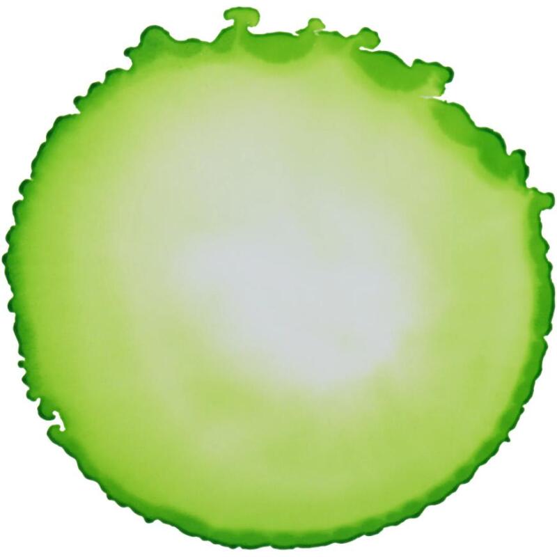 Cernit encre à l'alcool 20 ml Vert anis - Vert anis