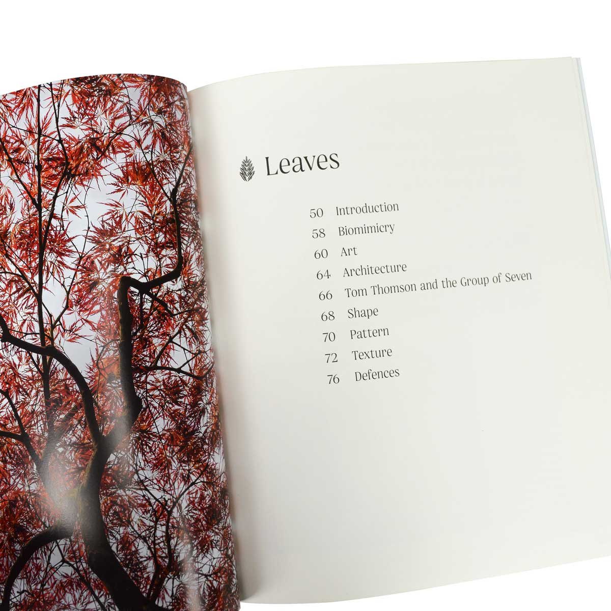 Trees: From Root to Leaf - A Financial Times Book of the Year (Hardback)