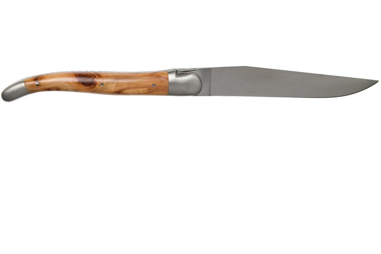 Forge de Laguiole, T22MMINGE, 2-delige steakmessenset gematteerd, Jeneverbes