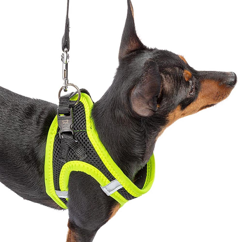 Harnais pour chiens kaori xs en nylon respirant, rembourré et réfléchissant