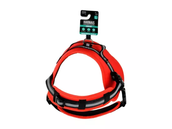 Harnais réglable matelassé pour chien 