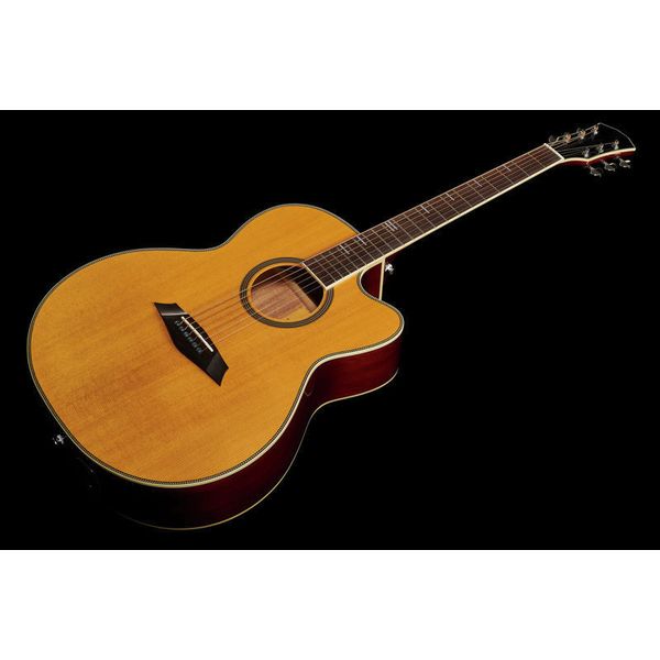 Larry Carlton A4-G NT