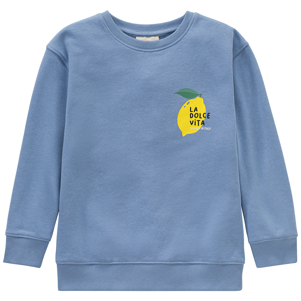 Jonas Nielsen Jungen Sweatshirt mit Backprint hellblau