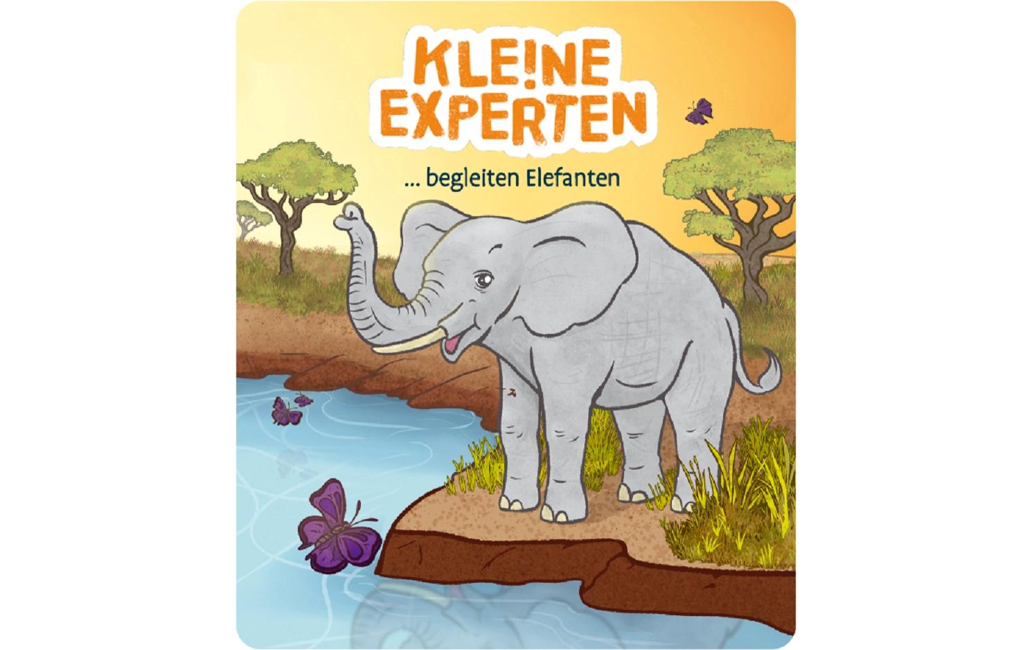 Hörbuch KLE!NE EXPERTEN begleiten ElefantenHörspiel