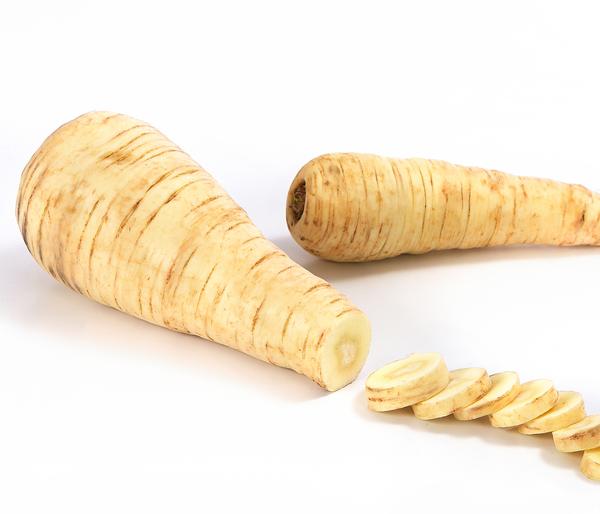 Dehner Gourmet Garten Pastinake