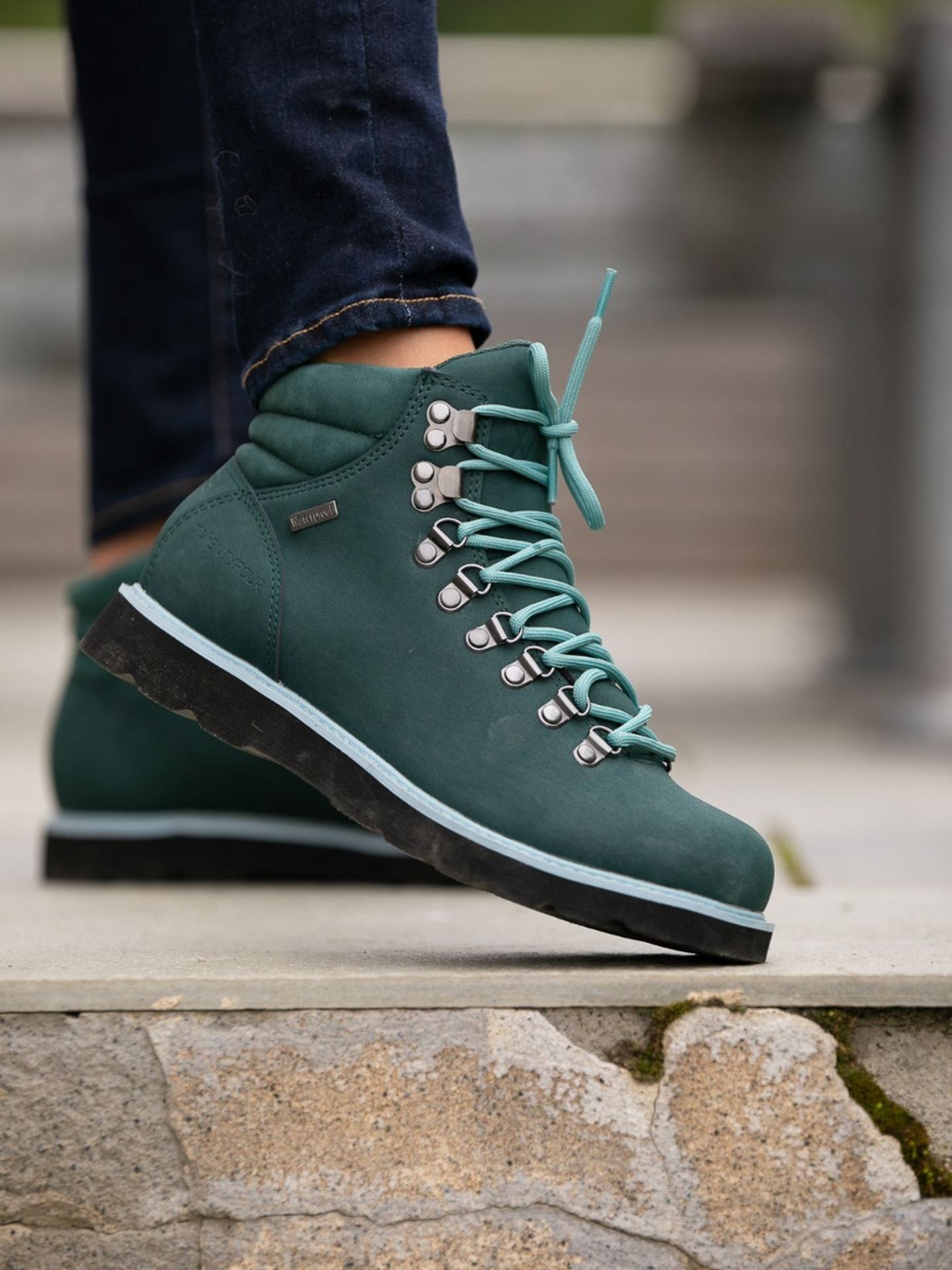 Finse Dalen Boot