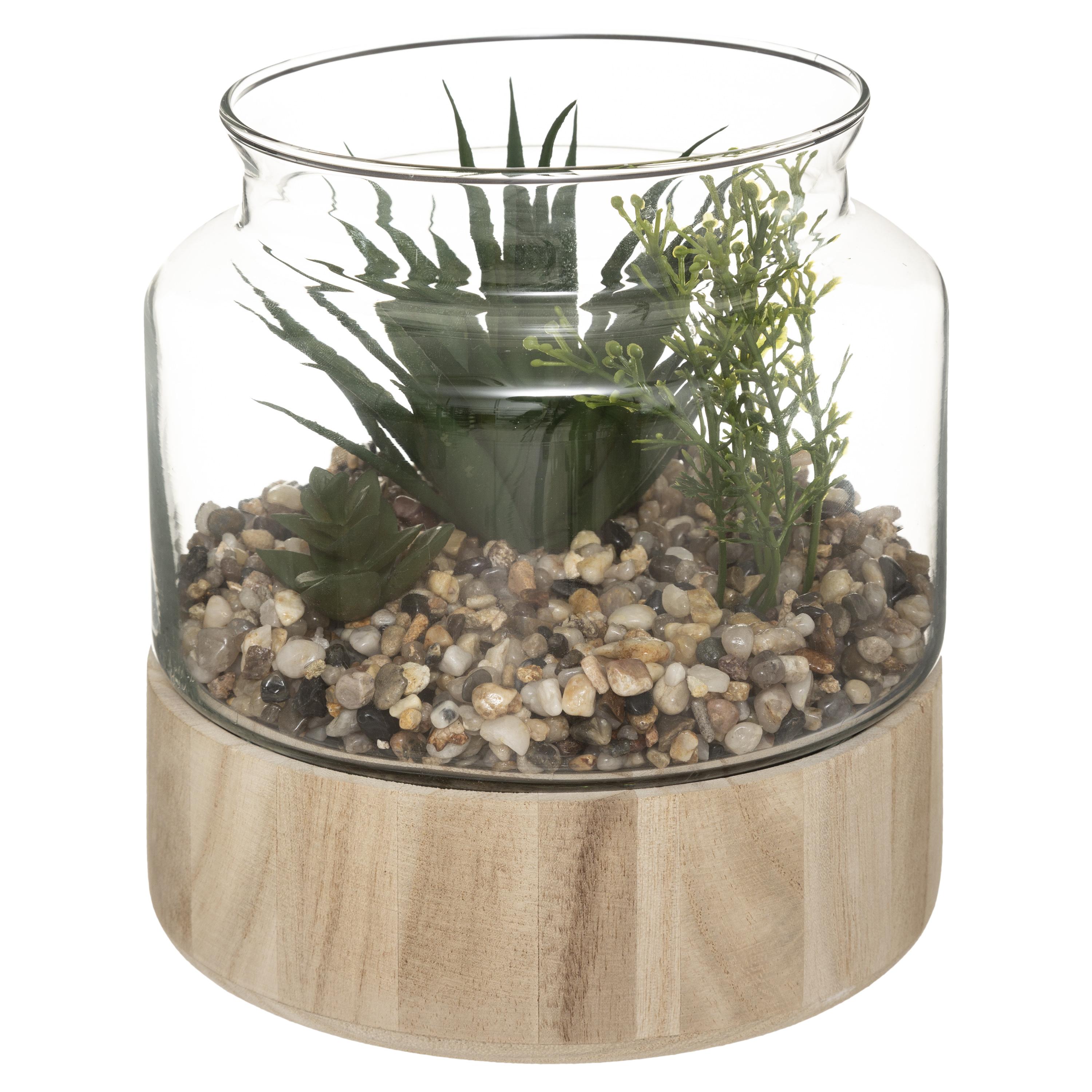 PLANTE TERRARIUM BOIS KEJO H.18CM
