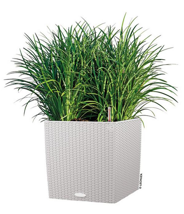 LECHUZA® Kunststoff-Topf Cube Cottage,