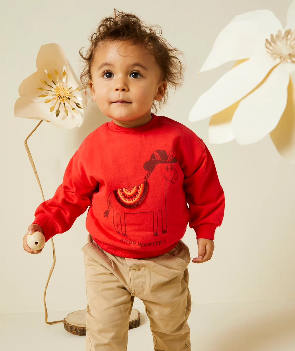 SWEAT MANCHES LONGUES BÉBÉ GARÇON 100% COTON AVEC MOTIF ÂNE