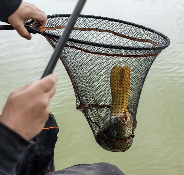 Tête d'épuisette Frenzee FXT Landing Net - Scoop Net
