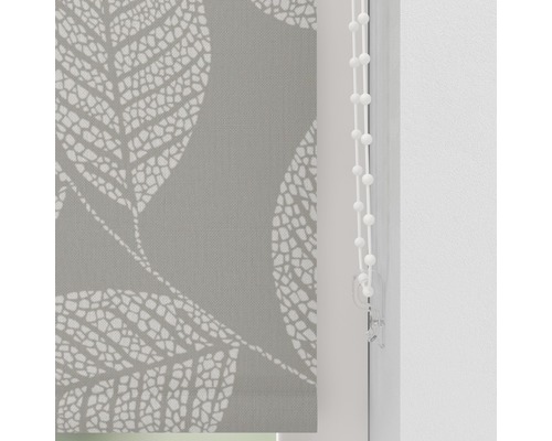 Soluna daglichtrolgordijn D10 bladeren beige 60x190 cm