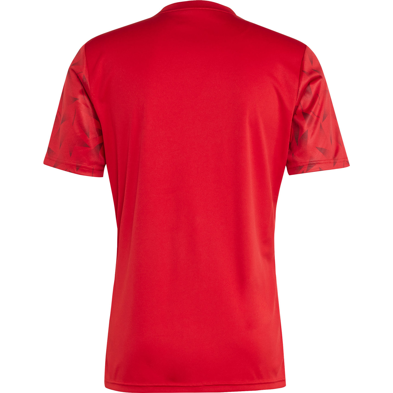 adidas Team Icon 25 Training Shirt