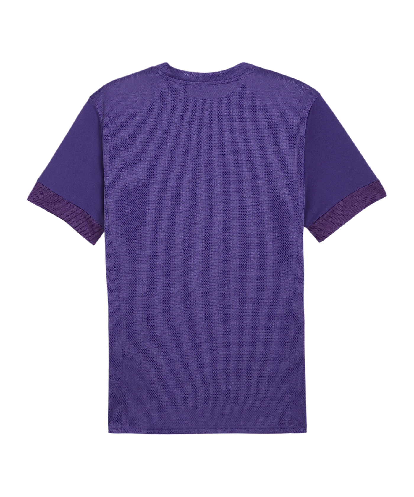 PUMA teamGOAL Matchday Trikot Lila Weiss F10