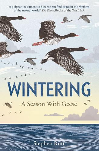 Wintering: A Season With Geese (Paperback)