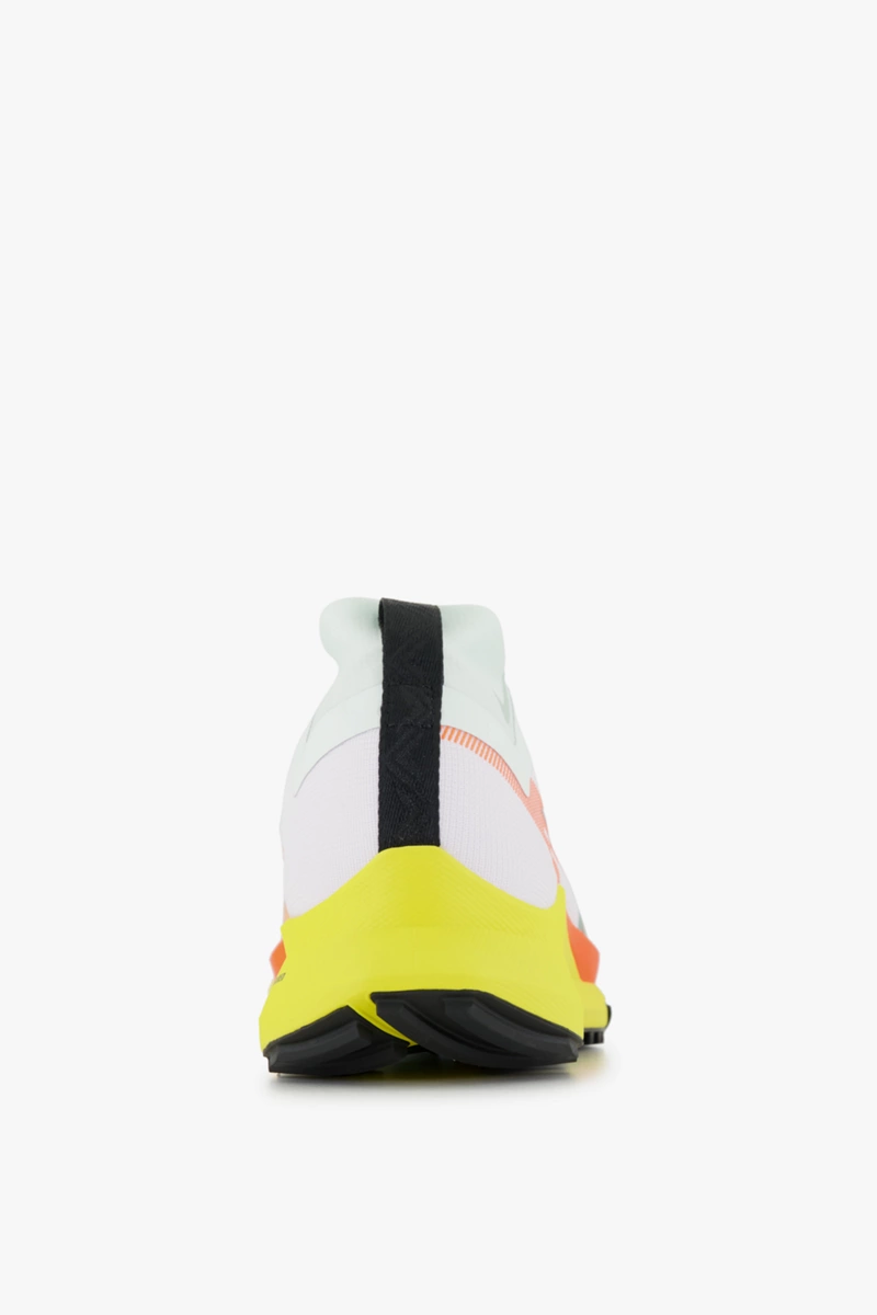 Nike Pegasus Trail 4 Gore-Tex® Herren Trailrunningschuh