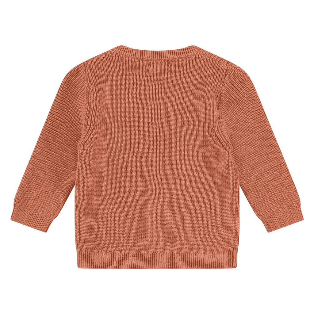 Babyface baby sweater terra