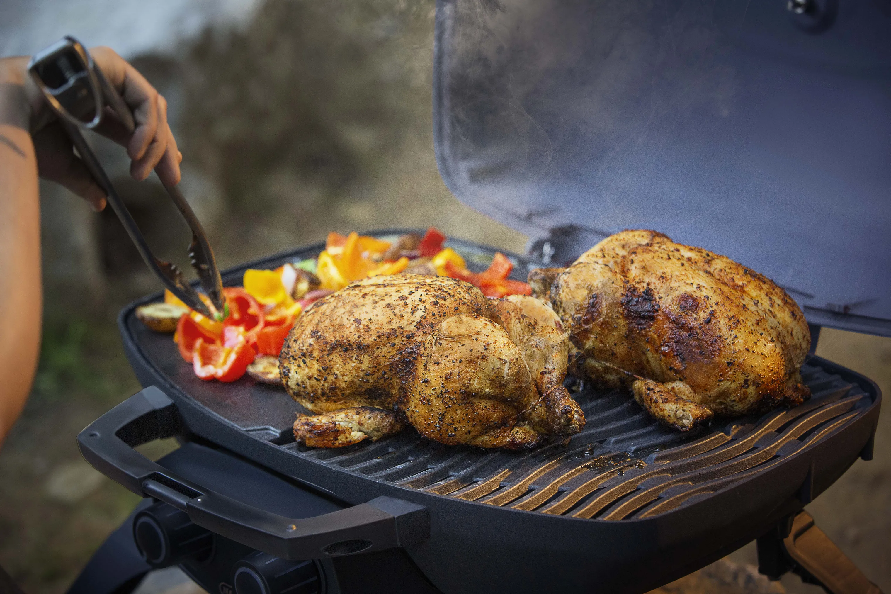Napoleon TravelQ 285 Gasgrill