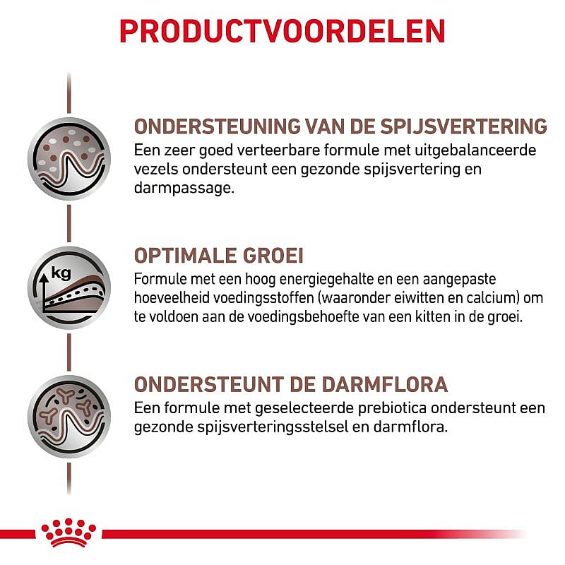 ROYAL CANIN® Gastro Intestinal Kitten 400g - Kattenvoer voor ondersteuning van de spijsvertering van kittens tot 12 maanden