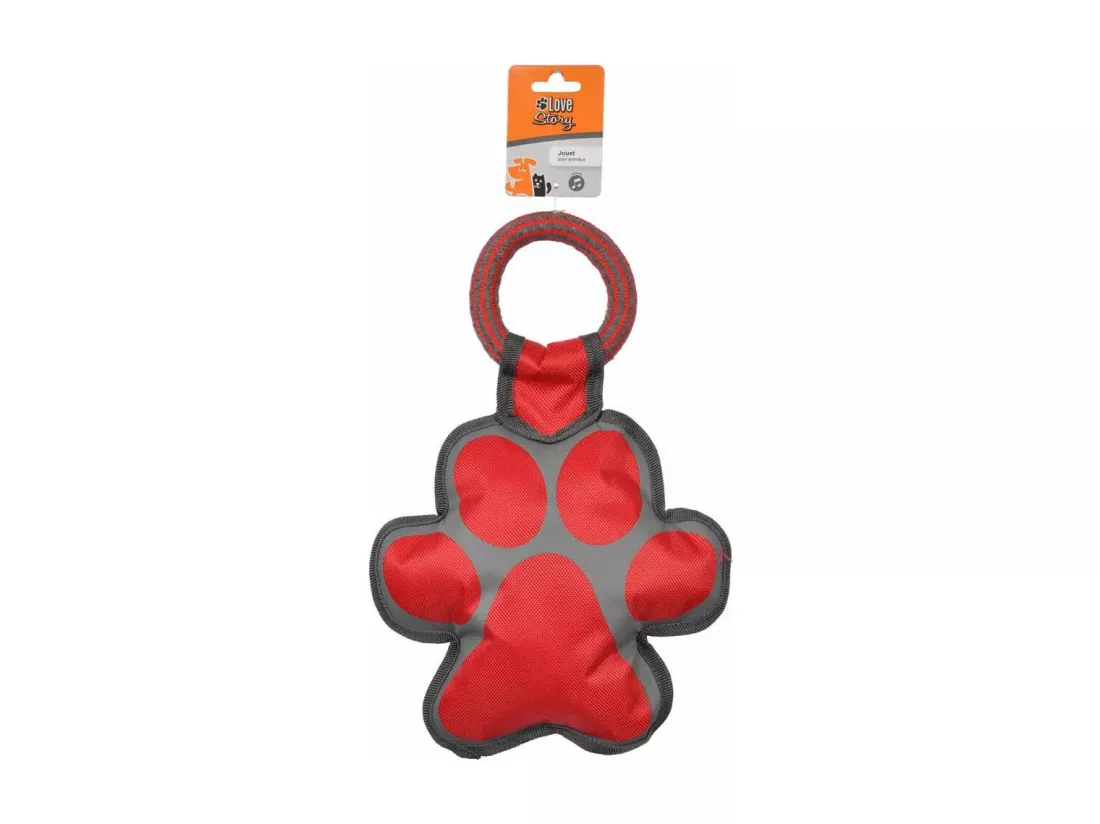Jouet pour Chien 