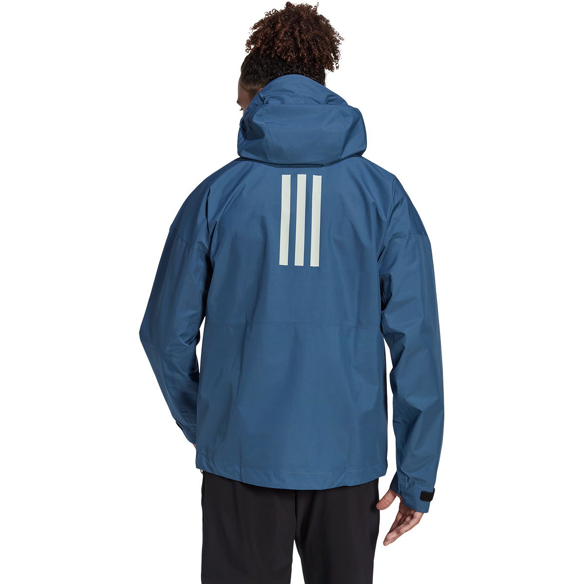 adidas Terrex GTX Paclite Jakke Herre