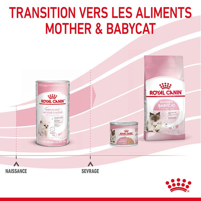 Lait maternisé Royal Canin Babycat à prix discount sur bitiba.fr