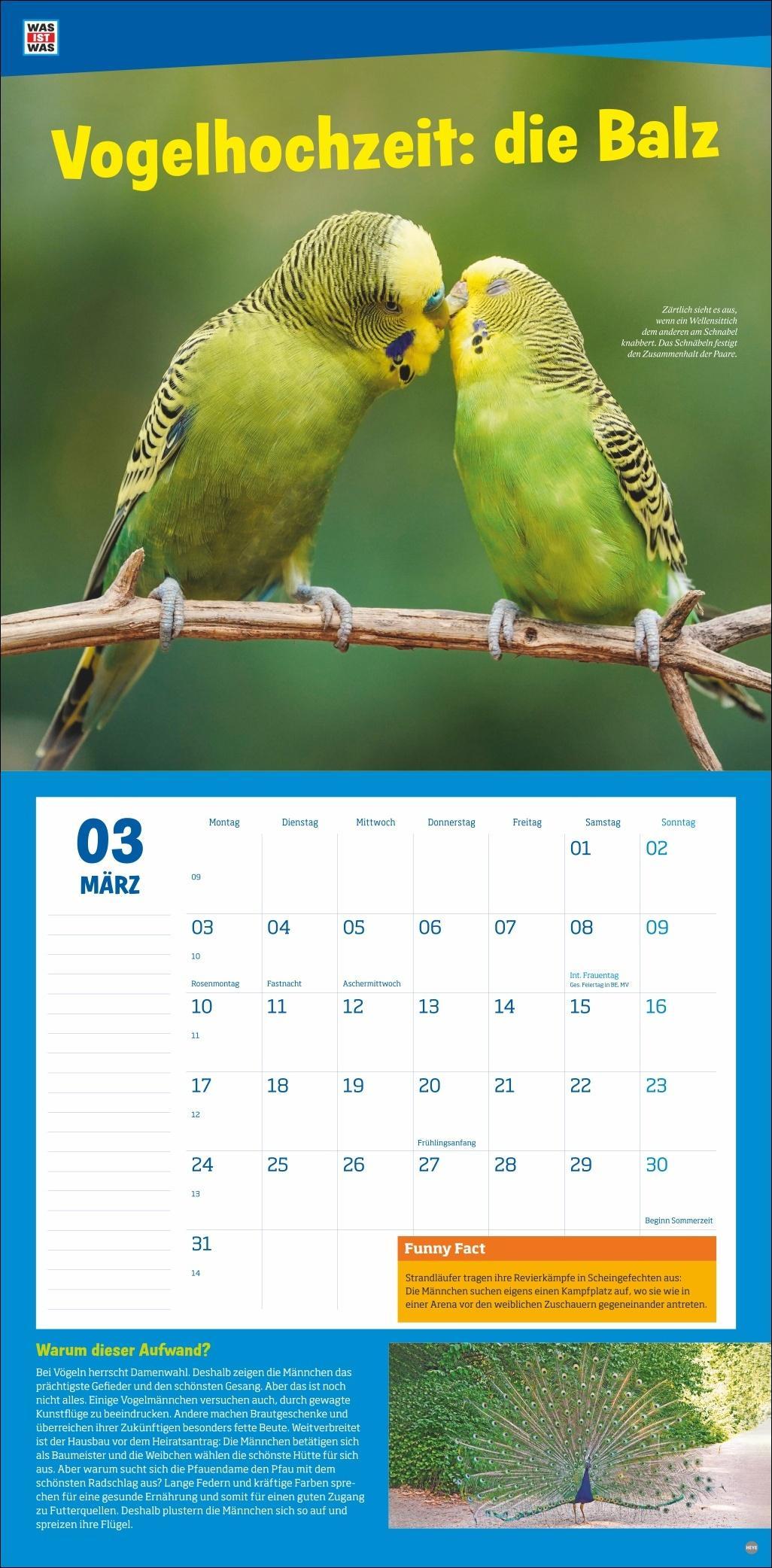 WAS IST WAS Tierwelt Broschurkalender 2025